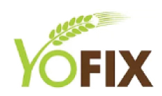 Yofix-winner