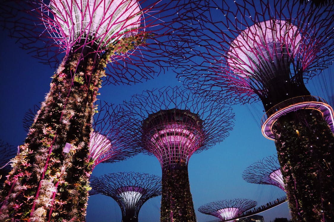 PepsiCo’s Greenhouse Accelerator Program Launches in Asia Pacific