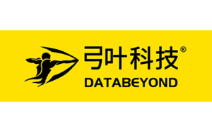 DataBeyond